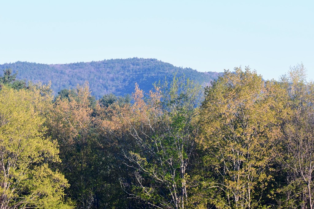 Mass Audubons Lime Kiln Farm Wildlife Sanctuary | 113 Silver St, Sheffield, MA 01257 | Phone: (413) 637-0320