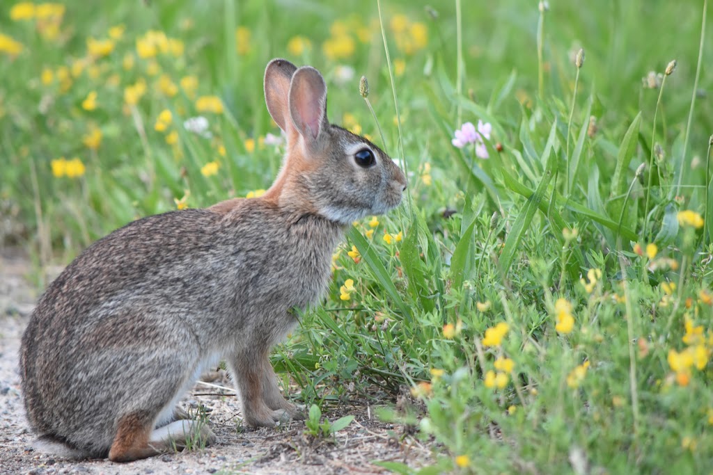 Meadowlands Environment Center | 2 De Korte Park Plz, Lyndhurst, NJ 07071 | Phone: (201) 460-8300