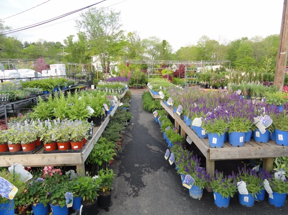 Halls Garden Center & Florist | 700 Springfield Ave, Berkeley Heights, NJ 07922 | Phone: (908) 665-0331