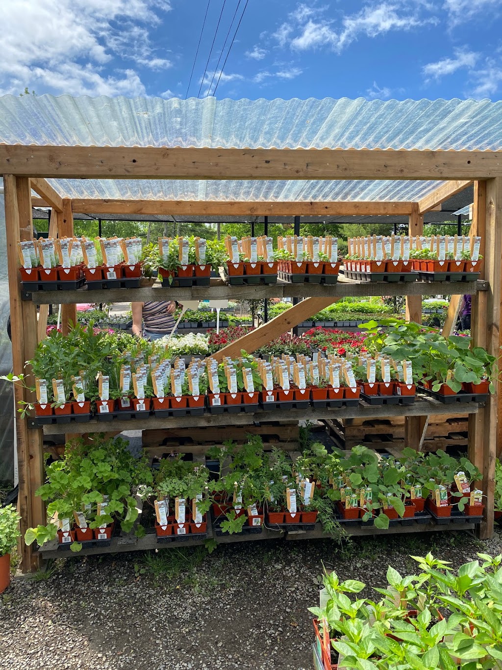 Gossett Brothers Nursery | 1202 Old Post Rd, South Salem, NY 10590 | Phone: (914) 763-3001