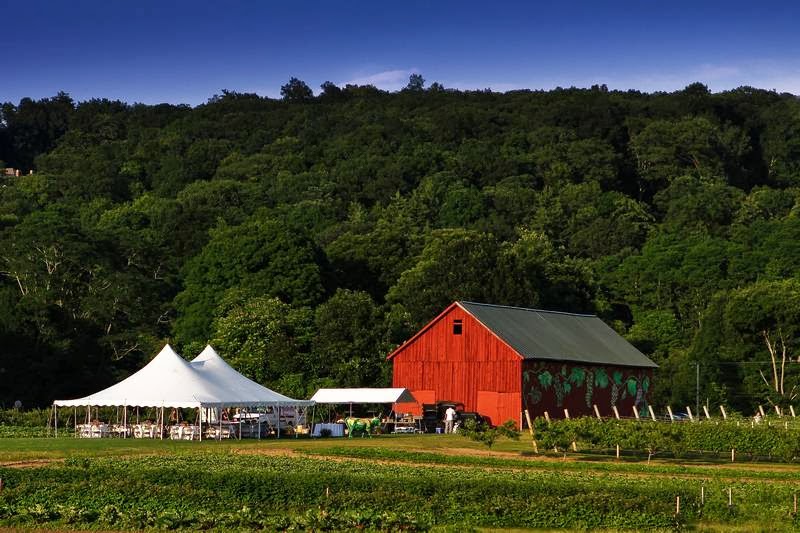 Rosedale Farms & Vineyards | 25 E Weatogue St, Simsbury, CT 06070 | Phone: (860) 651-3926