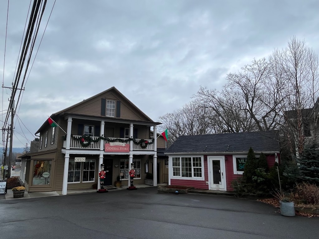 Hillsdale General Store | 2642 NY-23, Hillsdale, NY 12529 | Phone: (518) 325-3310