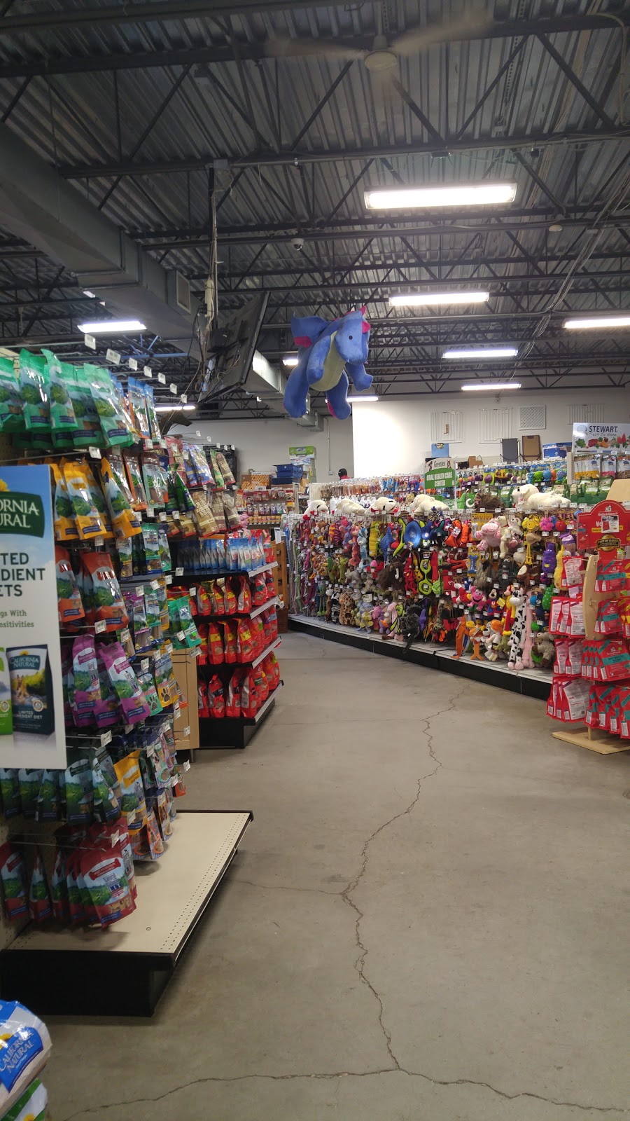 Total Pet Care | 780 Broadway Ave, Holbrook, NY 11741 | Phone: (631) 218-7680