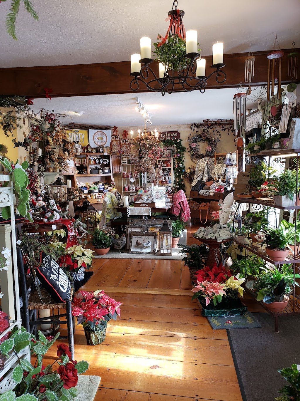 Colonial Flower Shoppe | 611 Main St #2101, Somers, CT 06071 | Phone: (860) 763-0082