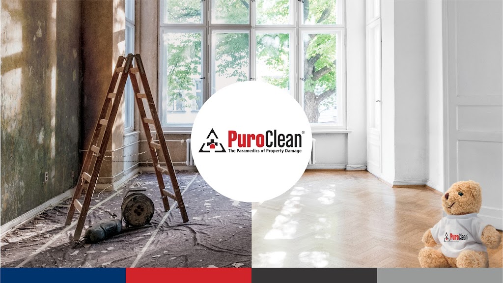 PuroClean Property Damage Experts | 110 C, 110 N Clinton Ave, Lindenhurst, NY 11757 | Phone: (631) 703-3280