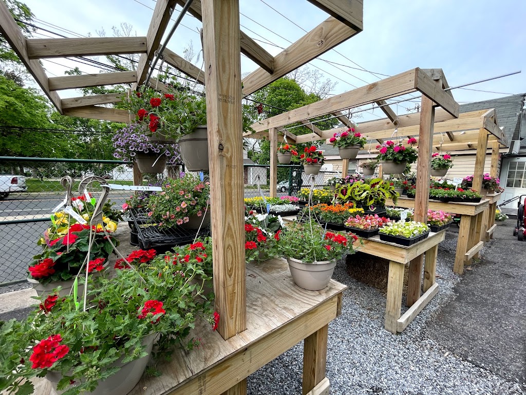 Provenzanos Power Equipment & Garden Center | 84 E Main St, Kings Park, NY 11754 | Phone: (631) 269-1080