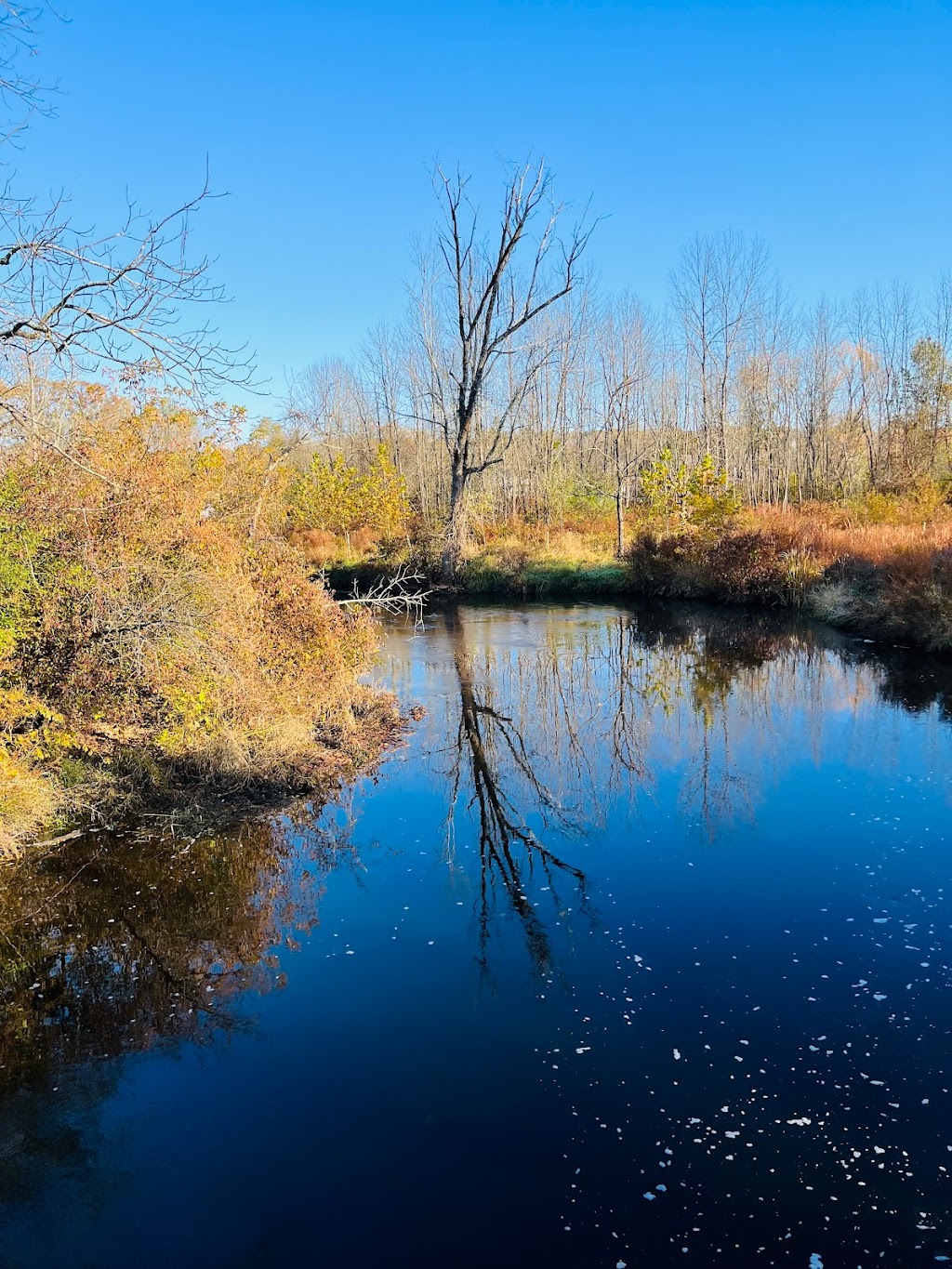 Paulinskill River Wildlife Management Area | Junction Rd, Newton, NJ 07860 | Phone: (609) 984-0547