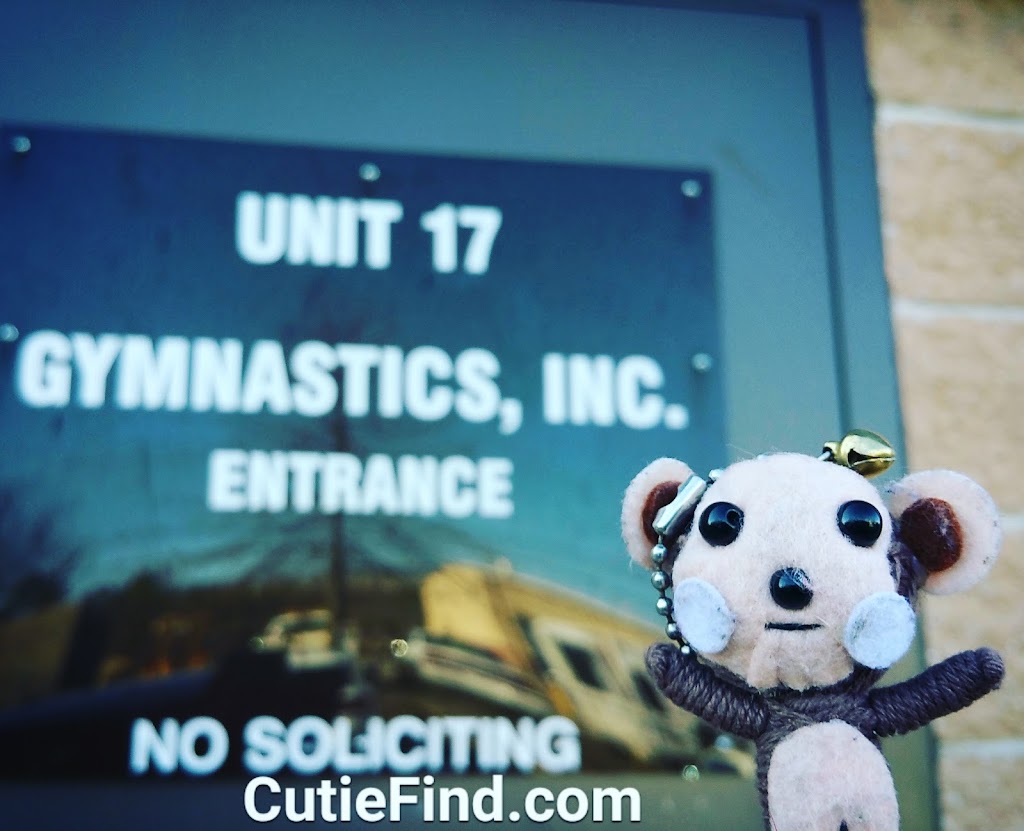 Gymnastics Inc | 80 N Dell Ave Unit 17, Kenvil, NJ 07847 | Phone: (973) 252-4300