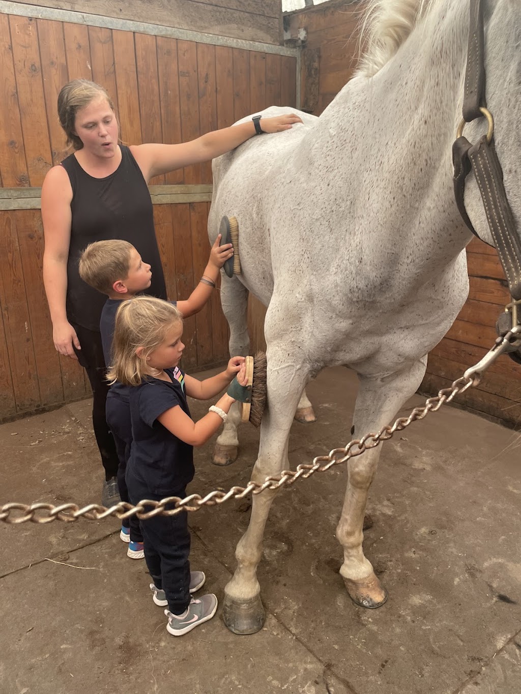Friendship Equestrian Center | 91 Courts Ln, Hudson, NY 12534 | Phone: (518) 859-6423