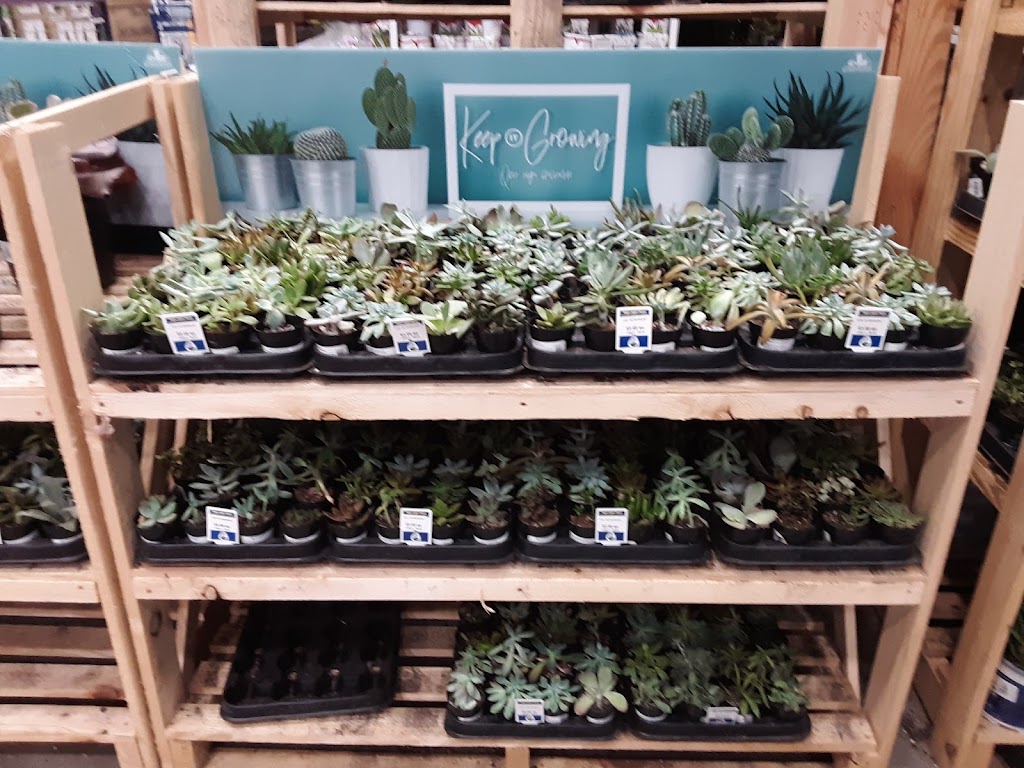 Lowes Garden Center | 311 Old Gate Ln, Milford, CT 06460 | Phone: (203) 701-3150