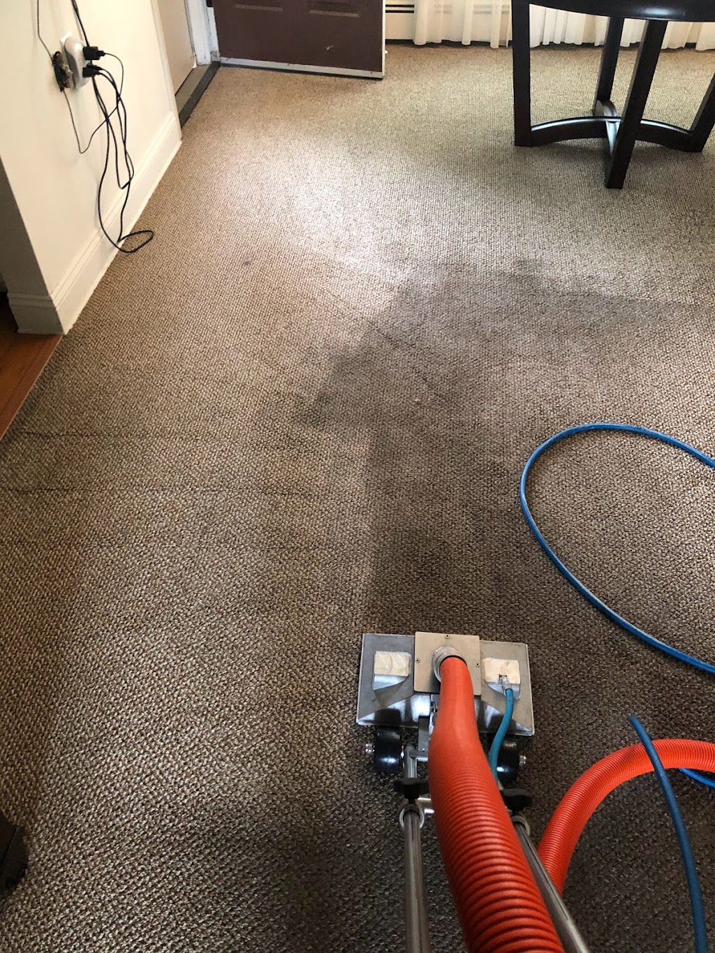 A1 Carpet Cleaning | 12 Ponderosa Trail, Sparta Township, NJ 07871 | Phone: (732) 807-1295