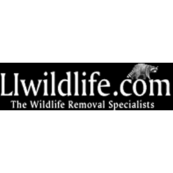 Advanced Nuisance Wildlife Control Services | 41 Rose St, Smithtown, NY 11787 | Phone: (631) 979-2481