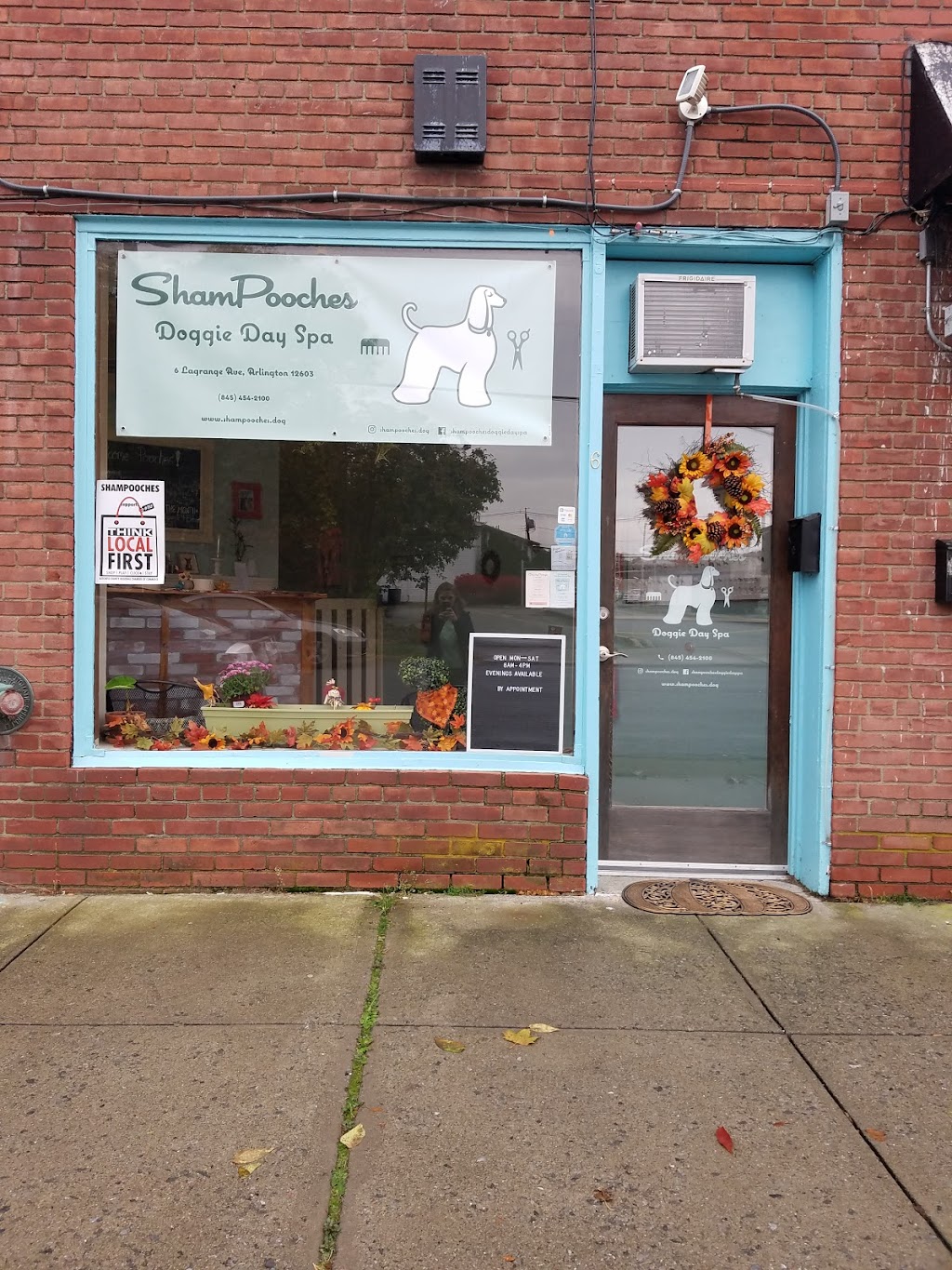 Shampooches Doggie Day Spa | 2064 New Hackensack Rd #5, Poughkeepsie, NY 12603 | Phone: (845) 454-2100