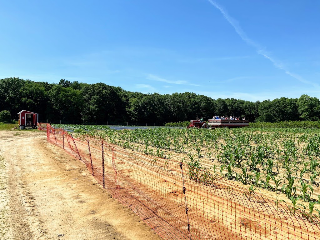 Giamarese Farm & Orchards | 155 Fresh Ponds Rd, East Brunswick, NJ 08816 | Phone: (732) 821-9494