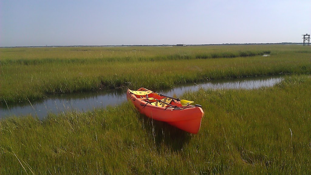 Sedge Island Wildlife Management Area | Waretown, Ocean Twp, NJ 08758 | Phone: (609) 292-2965